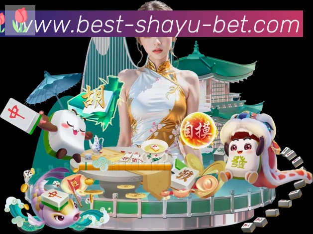 多彩内容专区